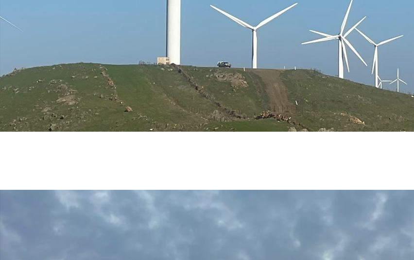 Rows of wind turbines on green hills